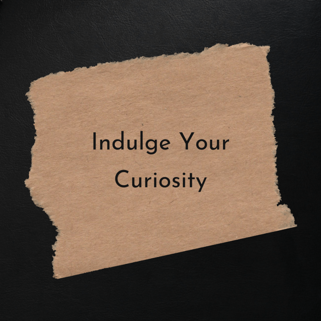 Indulge Your Curiosity