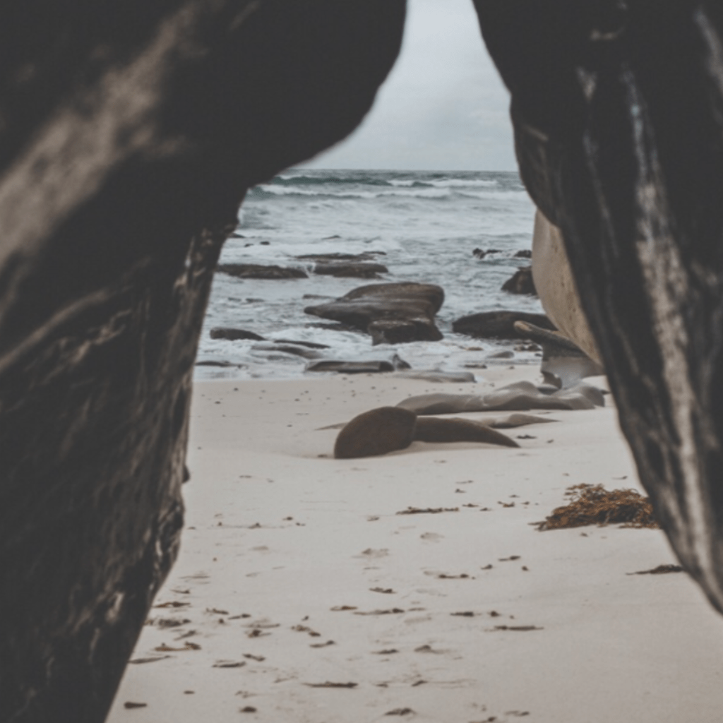 The Sound of Heart&nbsp;Break