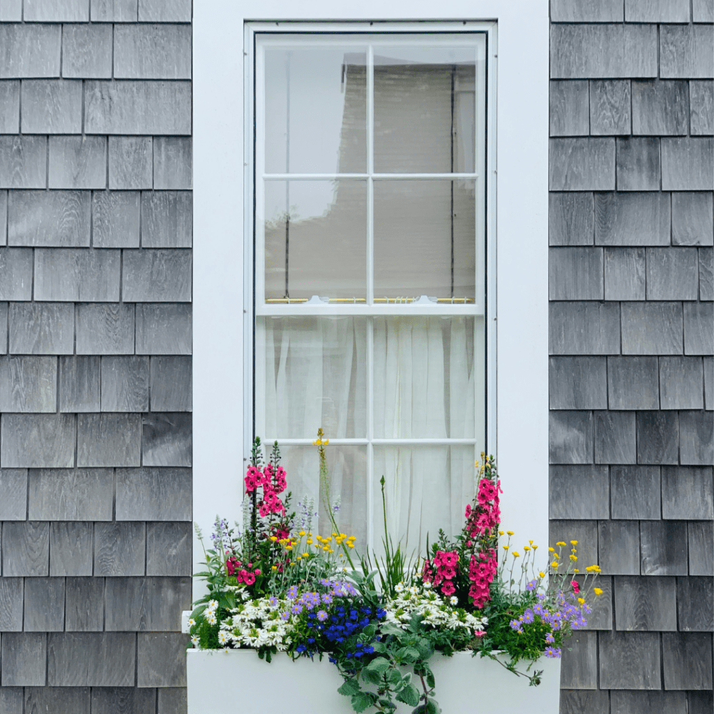 The Rational & The&nbsp;Romantic